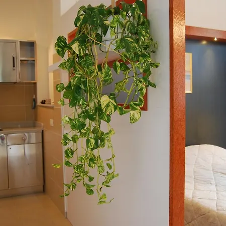 شقة La Chiocciola *